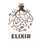 PiócaElixir